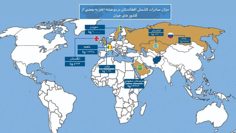 حکومت طالبان: در دو هفته‌ی گذشته ۶۹۸ تُن میوه‌ی خشک به خارج از کشور صادر شده است