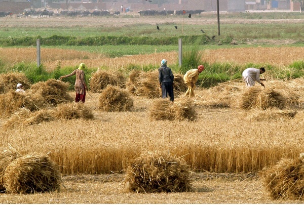 کاهش ۳۰ درصدی تولید ناخالص داخلی: بانک جهانی خواستار اقدامات فوری در افغانستان شد