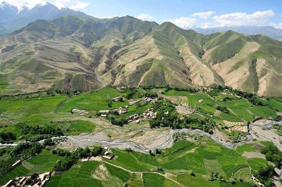 جبهه آزادی از کشته و زخمی شدن اعضای طالبان در یک حمله خبر داد